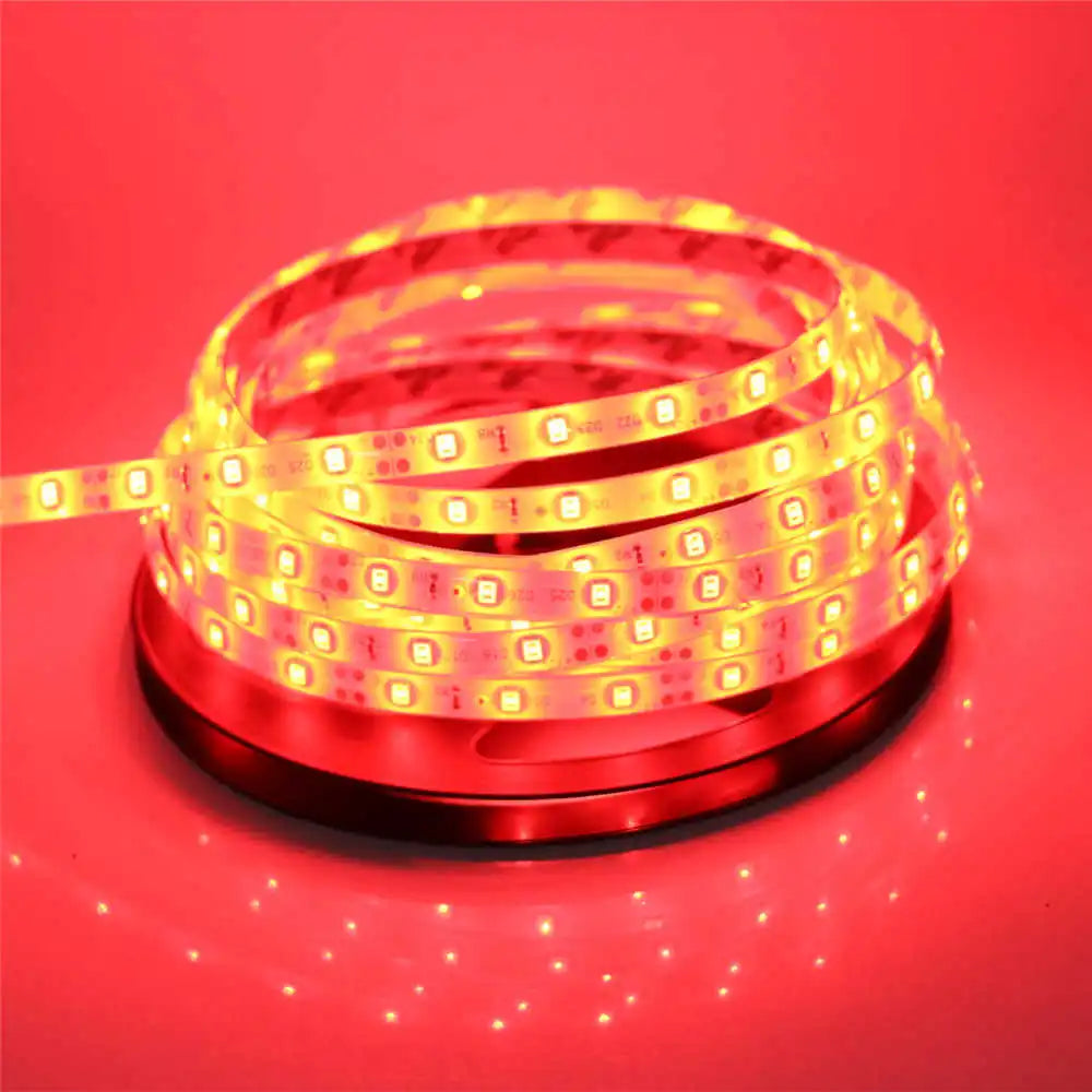 2835 SMD led strip light DC12V 5M 300LEDs flexible ribbon tape lighting White Warm white Red Green Blue Yellow Pink RGB