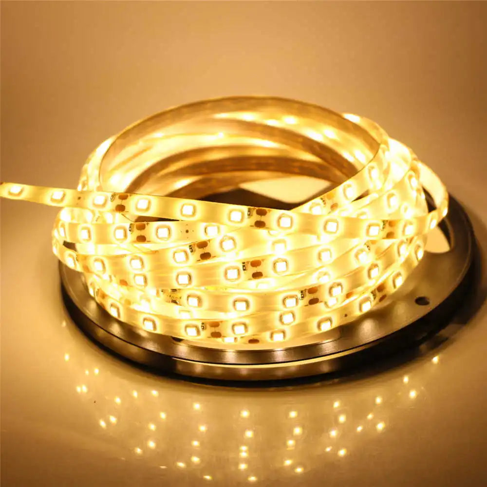 2835 SMD led strip light DC12V 5M 300LEDs flexible ribbon tape lighting White Warm white Red Green Blue Yellow Pink RGB