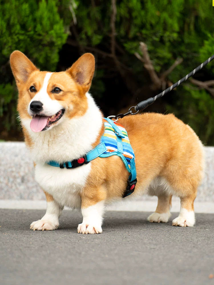 Dog Hand Holding Rope Dog Walking Chain Small and Medium Dogs Anti Breaking Loose Chest Strap Teddy Corgi Tie Large Dog Leash Supplies