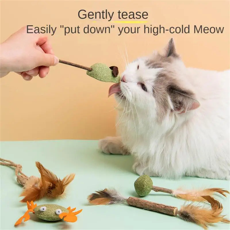 Pet Catnip Toys Edible Catnip Ball Healthy Cat Mint For Cats Household Chasing Game Toy Products Cleaning Teeth Pet Toy Supplies