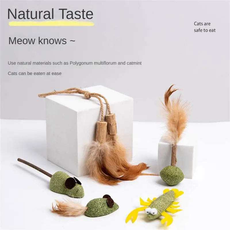 Pet Catnip Toys Edible Catnip Ball Healthy Cat Mint For Cats Household Chasing Game Toy Products Cleaning Teeth Pet Toy Supplies